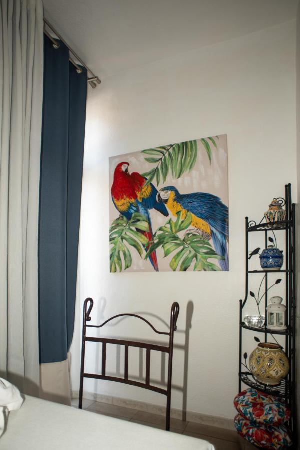 Studio Central Canet-en-Roussillon Exteriör bild